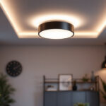 A photograph of a beautifully designed flush mount ceiling light installed in a modern living space