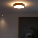 A photograph of a stylish and modern flush mount lighting fixture installed in a well-designed interior space