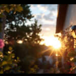 A photograph of a lighting contractor installing solar outdoor lights in a residential garden during the golden hour