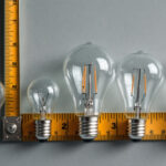 A photograph of a close-up shot of various incandescent bulb base sizes displayed alongside a measuring tape