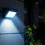 A photograph of a well-lit outdoor scene featuring a motion security light in action