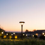 A photograph of a beautifully landscaped yard illuminated by various styles of solar lights at dusk