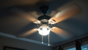 A photograph of a well-lit