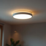 A photograph of a well-lit interior space showcasing a sleek led surface mount light installed on the ceiling