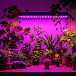 A photograph of a cozy indoor gardening setup featuring various plants illuminated by an array of stylish