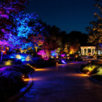 A photograph of a beautifully illuminated outdoor landscape featuring a variety of colored landscape lights highlighting trees