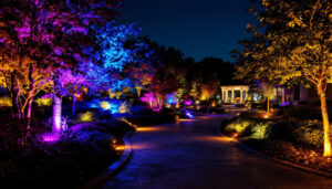 A photograph of a beautifully illuminated outdoor landscape featuring a variety of colored landscape lights highlighting trees