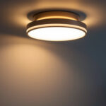 A photograph of a stylish and modern ceiling sconce in a well-lit interior setting