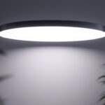 A photograph of a sleek
