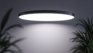 A photograph of a sleek