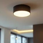 A photograph of a stylish small flush mount ceiling light installed in a modern interior setting