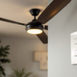 A photograph of a stylish ceiling fan and light wall switch in a well-lit room
