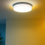 A photograph of a stylish flush mount led ceiling light fixture installed in a modern interior setting