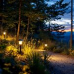 A photograph of a lighting contractor expertly installing trail lighting in a scenic outdoor setting