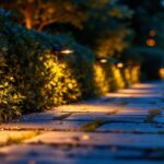A photograph of a beautifully lit outdoor space featuring solar-powered lights illuminating a pathway or garden