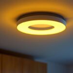 A photograph of a beautifully designed flushmount light fixture installed in a stylish interior setting