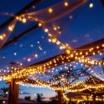 A photograph of a beautifully illuminated outdoor canopy at dusk