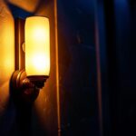 A photograph of a beautifully designed movie theater sconce illuminated in a dimly lit theater setting