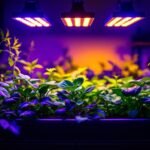 A photograph of a well-lit indoor gardening setup featuring low-cost grow lights in action
