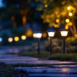 A photograph of a beautifully illuminated outdoor scene featuring various styles of solar-powered night lights in a garden or pathway setting