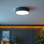 A photograph of a stylishly designed surface-mounted ceiling light installed in a modern interior space