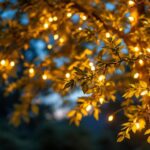 A photograph of a beautifully illuminated tree adorned with solar-powered outdoor lights at dusk