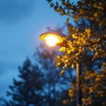 A photograph of a well-lit 10 ft light pole in an outdoor setting