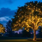 A photograph of a beautifully illuminated tree in an outdoor setting at dusk