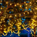 A photograph of a beautifully illuminated outdoor space featuring led string lights draped elegantly across trees or pergolas