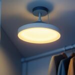 A photograph of a stylishly designed led closet light with a pull chain
